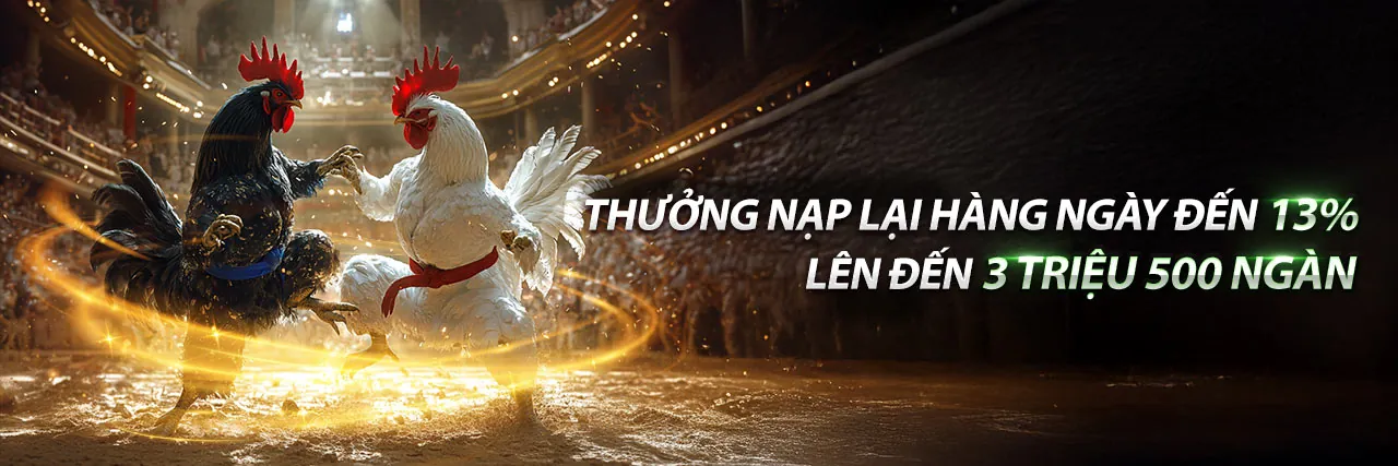Đấu trường đá gà kịch tính tại bet29 win