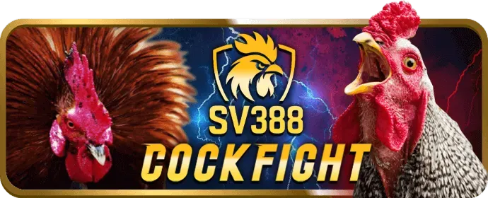 Phân tích các chương trình khuyến mãi mới nhất của bet29 win